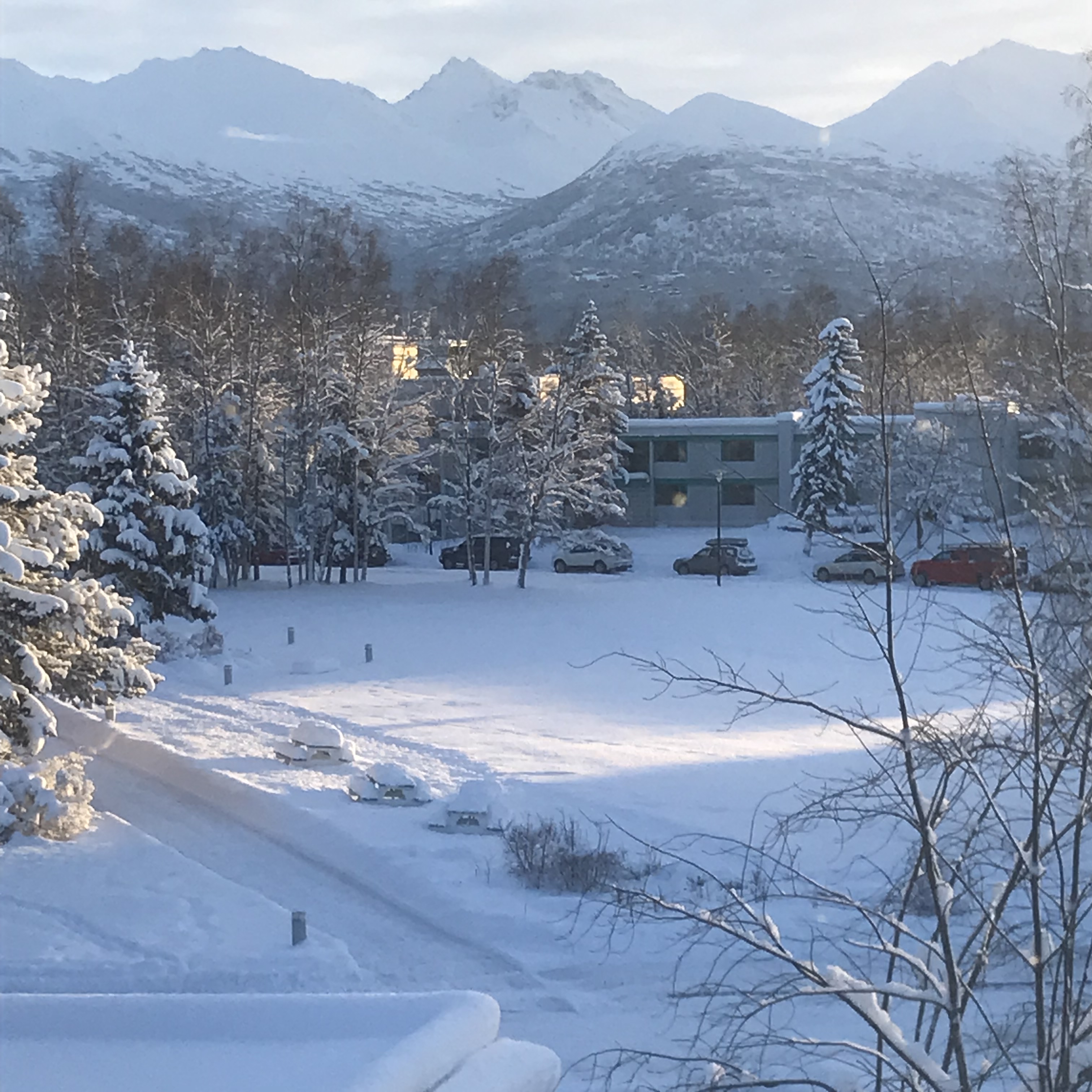 image of the mountain view outside the lab widows
